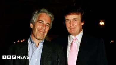 What we know about the latest Epstein emails referencing Trump