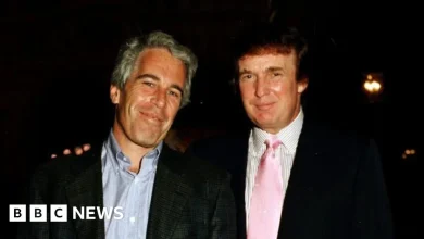 What we know about the latest Epstein emails referencing Trump