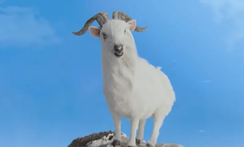 What's New on Paramount+ UK in November 2025 | Streaming Release Schedule Calendar