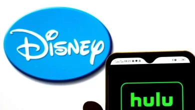 What's streaming on Disney+ and Hulu in November