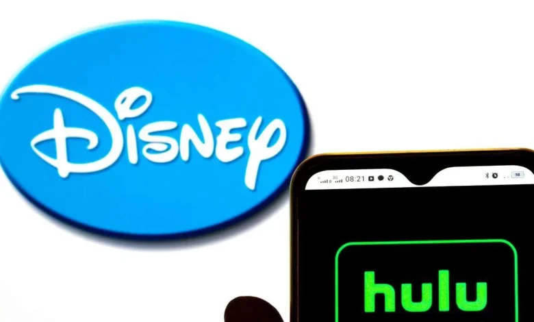 What's streaming on Disney+ and Hulu in November