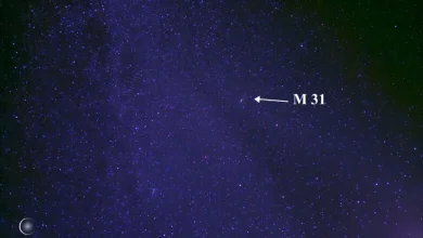 What’s up in the sky for November 2025? Leonid meteor shower, full hunter’s supermoon