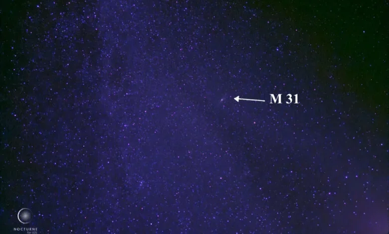 What’s up in the sky for November 2025? Leonid meteor shower, full hunter’s supermoon