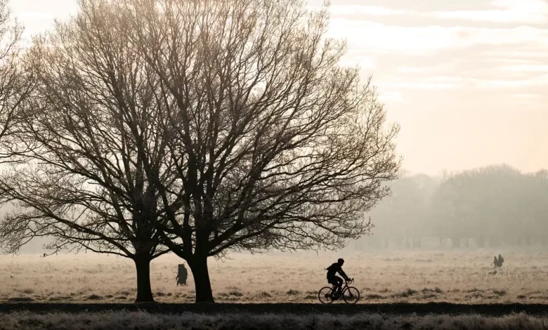 When cold spell will hit London after mild start to November