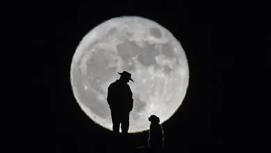 When is the November full moon? More on 'cold' supermoon — last of 2025