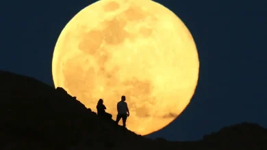 When is the next full moon? Cold supermoon 2025 will rise amid longest nights of the year