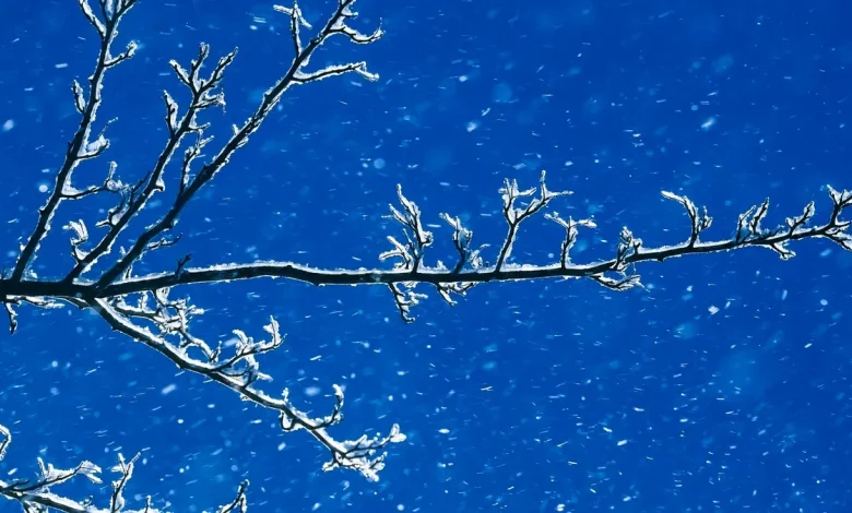 When was the coldest, warmest Thanksgiving in Louisville? Find out