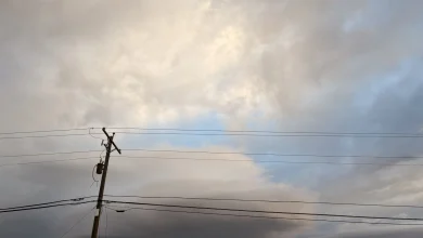 Whipping winds knock out power for thousands of Washoe County residents