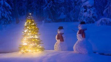 White Christmas Odds: Will It Snow on Christmas Day Where You Are in 2025?