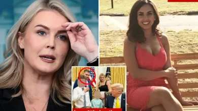 White House Press Secretary Karoline Leavitt’s ‘criminal illegal alien’ relative detained by ICE