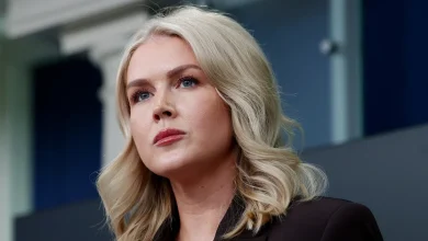 White House press secretary Karoline Leavitt's relative detained by ICE