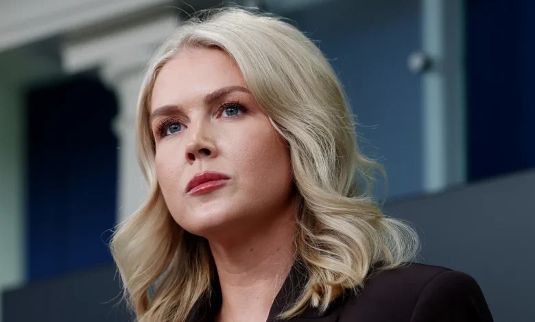 White House press secretary Karoline Leavitt's relative detained by ICE