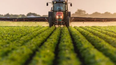 Why FMC (FMC) Is Down 7.9% After Analyst Downgrades and Executive Changes—And What's Next