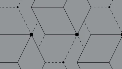 Why Has Zcash Suddenly Soared?