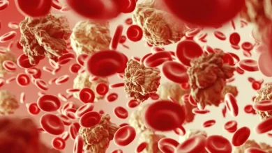 Why Is Galecto Stock (GLTO) Up 285% Today?