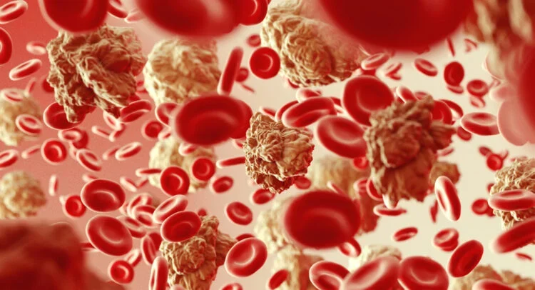 Why Is Galecto Stock (GLTO) Up 285% Today?