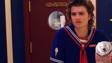 Why Joe Keery Dressed as His ‘Stranger Things’ Character to Officiate Wedding