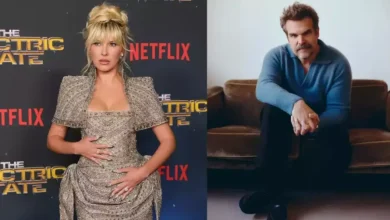 Why Millie Bobby Brown Accused Her 'Reel-Dad'? Did Netflix Launch An Inquiry Against David Harbour?