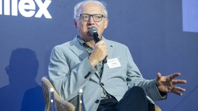 Why doesn't this expert trust AI? It comes down to a swimming elephant and a $7m bracelet