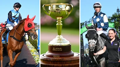 Why every runner can and can't win this year's Melbourne Cup