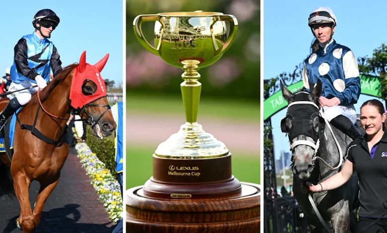 Why every runner can and can't win this year's Melbourne Cup