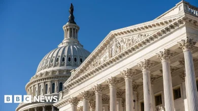 Why has the US government shut down and what does it mean?