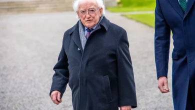 Why people of Ireland will 'probably regret' Michael D's time in Áras - lecturer