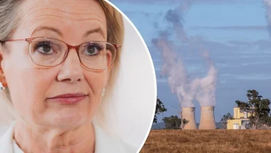 Why the Coalition's bitter fight over net zero could change everything for Sussan Ley