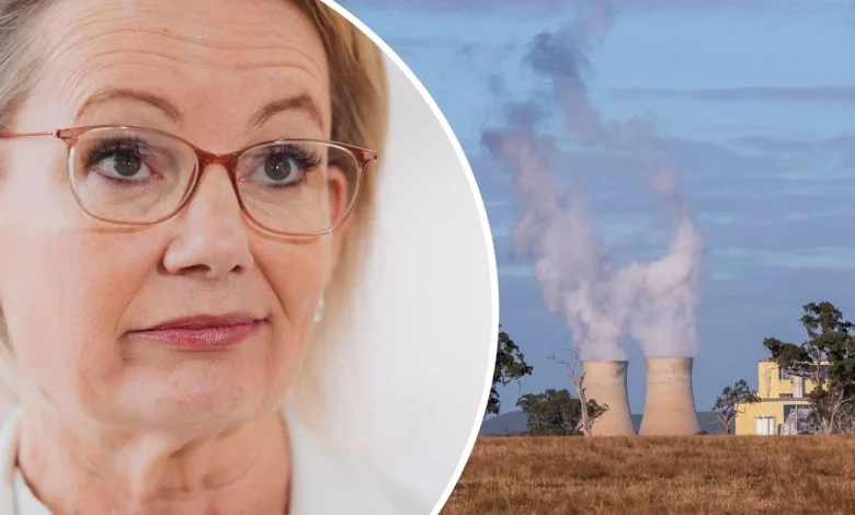 Why the Coalition's bitter fight over net zero could change everything for Sussan Ley