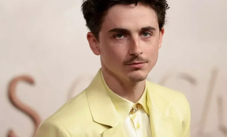 Why the Internet Is Convinced That Timothée Chalamet Has a Famous Alter Ego