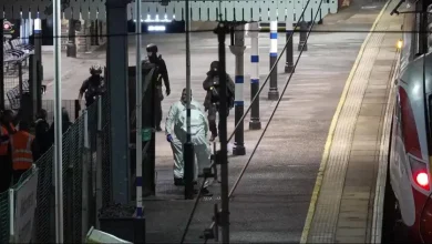 "Wiele osób ranionych nożem" w pociągu