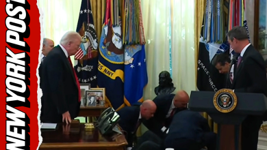 Wild Moment Man DROPS to the Floor During Live Trump Presser, Camera Cuts Out (Video)