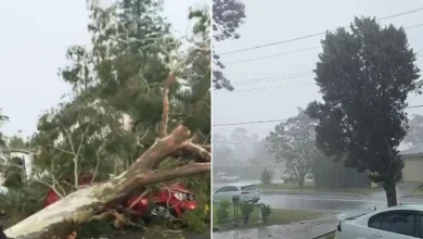 Wild storms smash Sydney; Erin Patterson fights for freedom