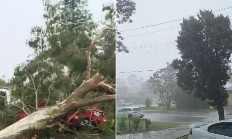 Wild storms smash Sydney; Erin Patterson fights for freedom
