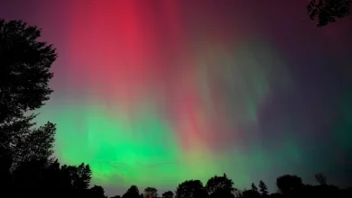 Will Indiana see northern lights tonight, Nov. 11? When and where to look at the sky