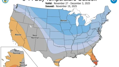 Will it be cold in South Carolina for Thanksgiving? Weather outlook