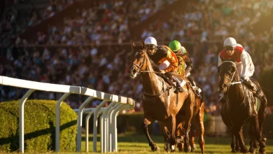 William Hill Introduces Racing Bet Builder in UK and Ireland