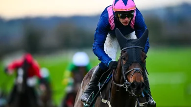 Willie Mullins says Paul Townend 'not happy' after Kopek Des Bordes' chase debut