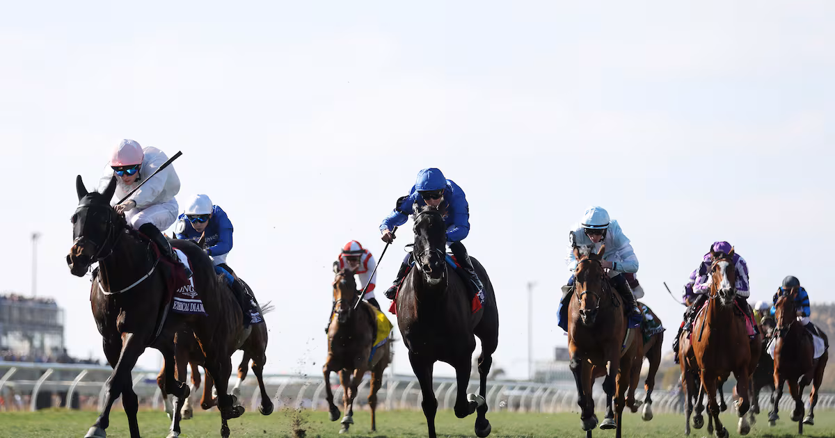 Willie Mullins supplies Breeders’ Cup shock as Ethical Diamond secures a first win and $5m prize