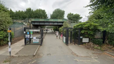 Wimbledon Park fireworks gets permanent licence to ‘continue responsible management’