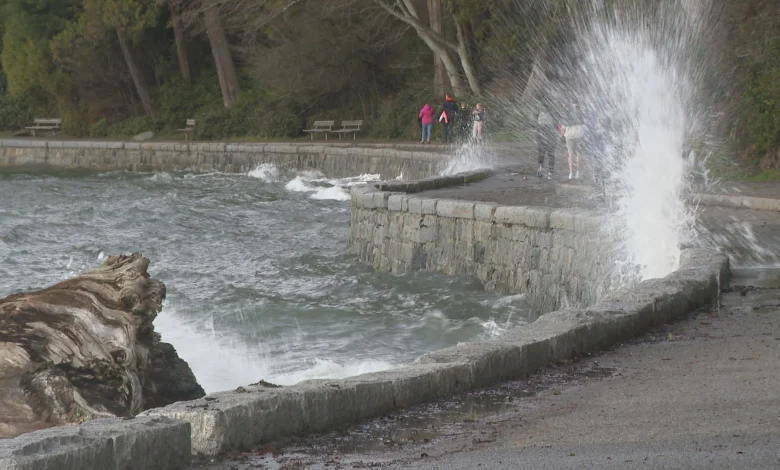 Wind and rain warnings issued for B.C.’s South Coast