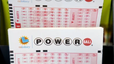 Winning numbers announced for South Carolina Lottery draw on November 8, 2025 — here’s what to know