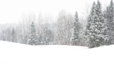 Winter Storm Warning as 16 Inches of Snow to Strike Northeast