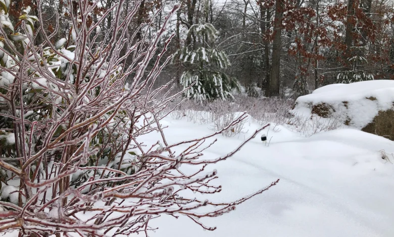 Winter outlook for 2025-2026 in Southern New England