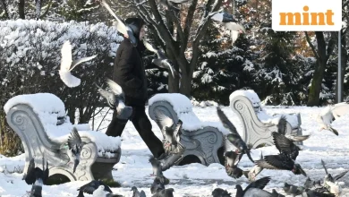 Winter storm warnings issued as US braces for heavy snowfall – Full list of states, areas on alert