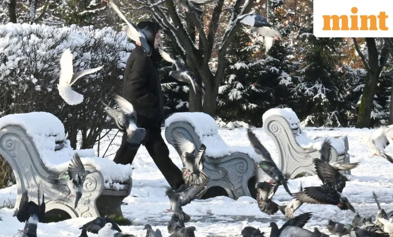 Winter storm warnings issued as US braces for heavy snowfall – Full list of states, areas on alert