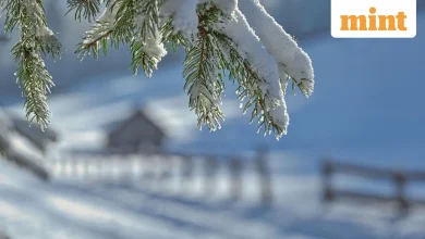 Winter weather warning: 8 US states brace for ‘dangerously cold conditions’ – Check which areas will be affected