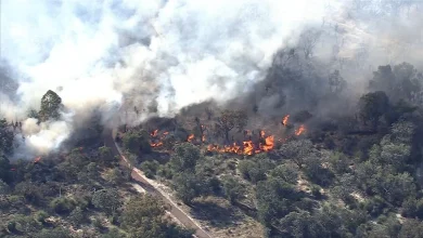 Wireless Hill bushfire: Watch and act warning for residents in Alfred Cove, Ardross, and Booragoon