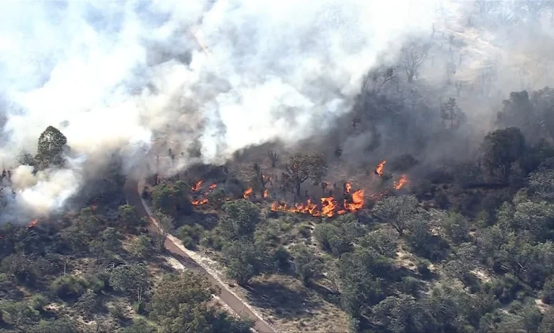 Wireless Hill bushfire: Watch and act warning for residents in Alfred Cove, Ardross, and Booragoon