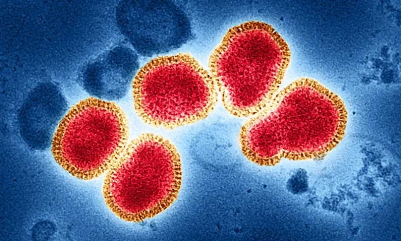 With an absent CDC and mismatched 'subclade K' flu strain, experts face upcoming season with uncertainty